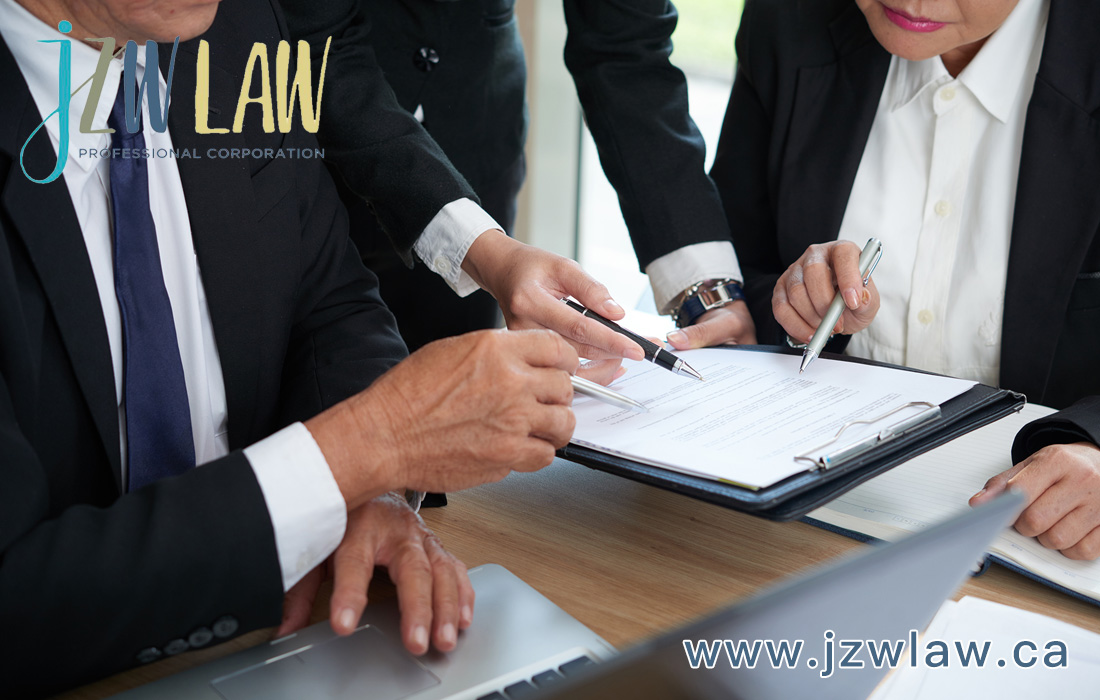 Civil Litigation Lawyer